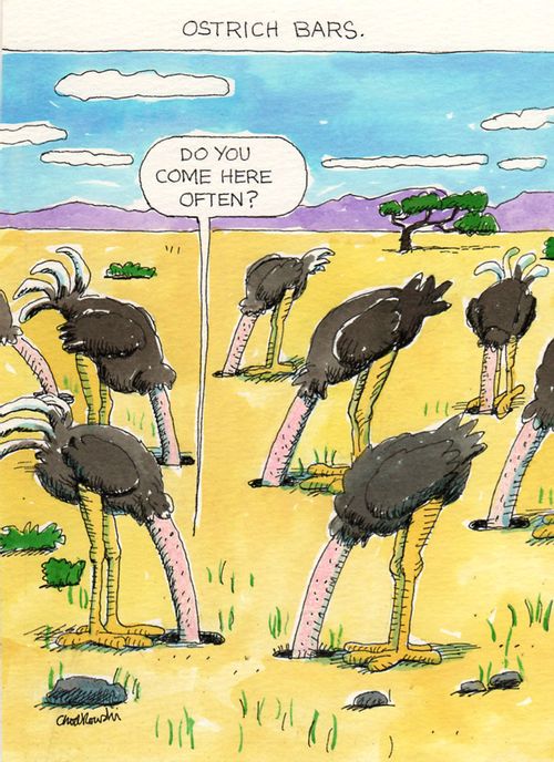 Ostrich Bar