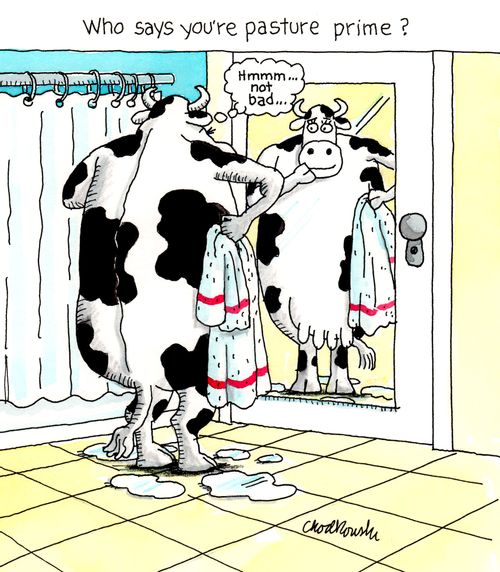 Who says you're pasture prime?