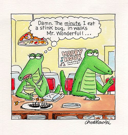 "Damn. The minute I eat a stink bug, in walks Mr. Wonderful!..."