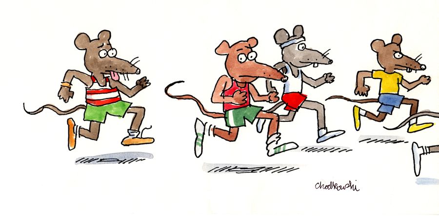 The Rat Race