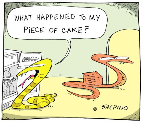 "What happened to my piece of cake?"