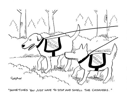 "Sometimes you just have to stop and smell the cadavers."