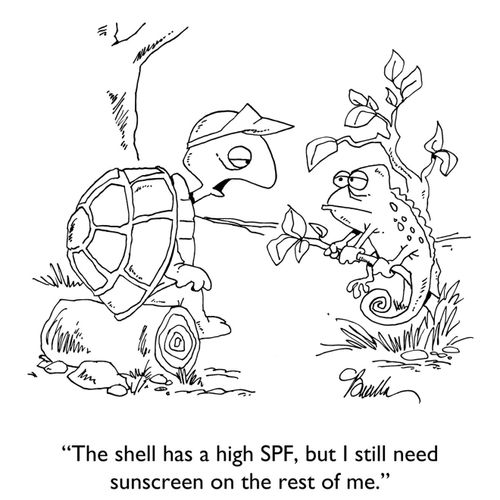 "The shell has a high SPF, but I still need sunscreen for the rest of me."