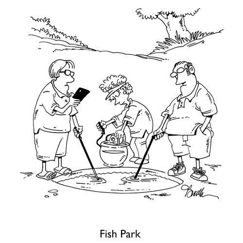 Fish Park