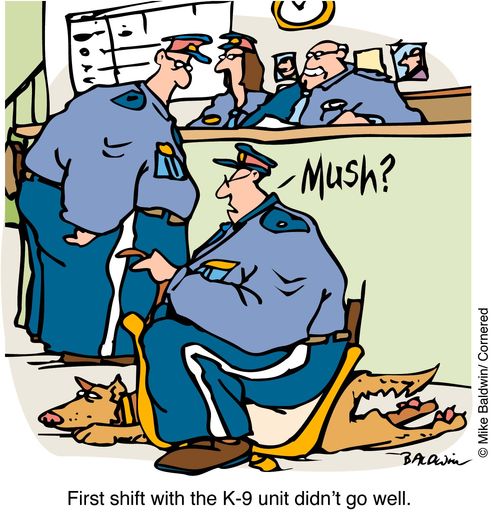 'First shift with the K-9 unit didn't go well'