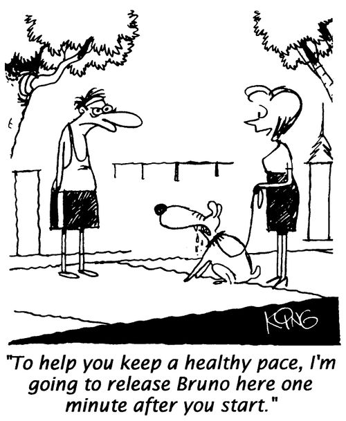 "To help you keep a healthy pace, I'm going to release Bruno here one minuit after you start."