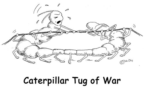 Caterpillar Tug of War