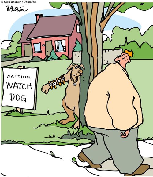 Caution Watch Dog