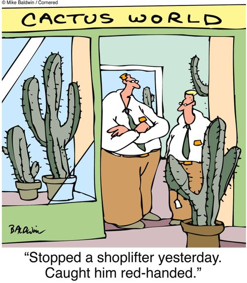 "Stopped a shoplifter yesterday. Caught him red-handed."