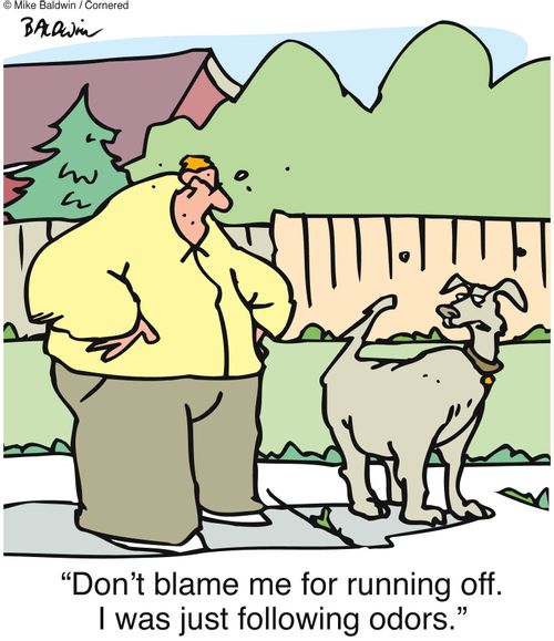 'Don't blame me for running off. I was just following odors.'