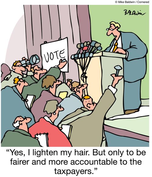 'Yes, I lighten my hair. But only to be fairer and more accountable to the taxpayers.'