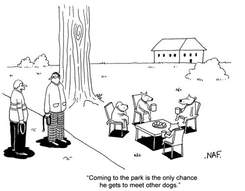 'Coming to the park is the only chance he gets to meet other dogs.'