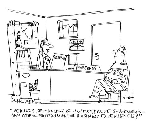 'Perjury, obstruction of justice, false statements...any other governmentor business experiences?'