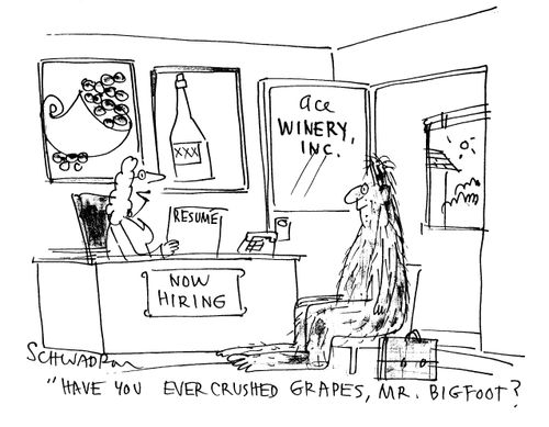 'Have you ever crushed grapes, Mr Bigfoot?'