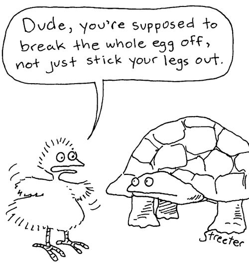 "Dude, you're supposed to break the whole egg off not just stick your legs out."
