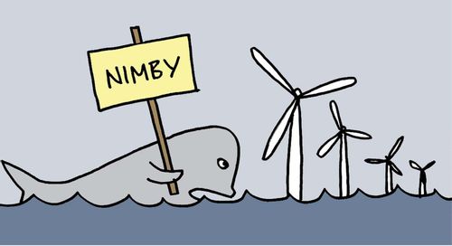 Whale with a 'N.I.M.B.Y' Sign