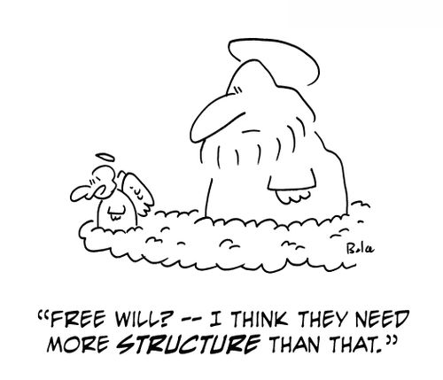 'Free will? -- I think they need more structure than that.'