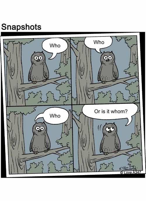 'Who.' 'Who.' 'Who.' 'Or is it whom?'