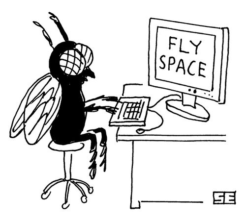 Fly Space. 