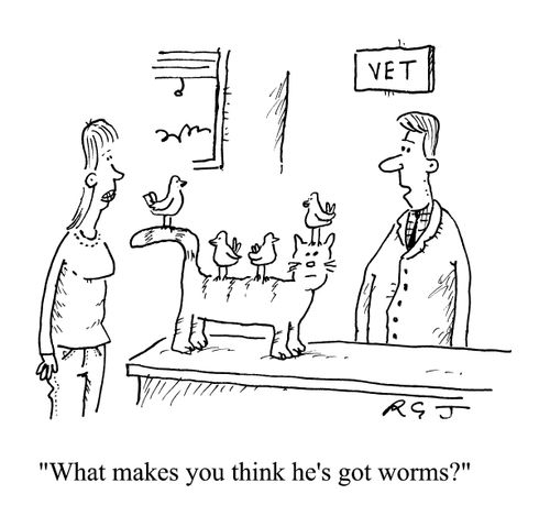 'What makes you think he's got worms?'