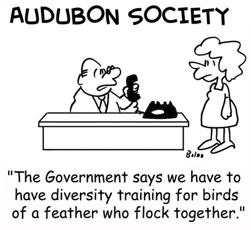 'The Government says we have to have diversity training for birds of a feather who flock together.'