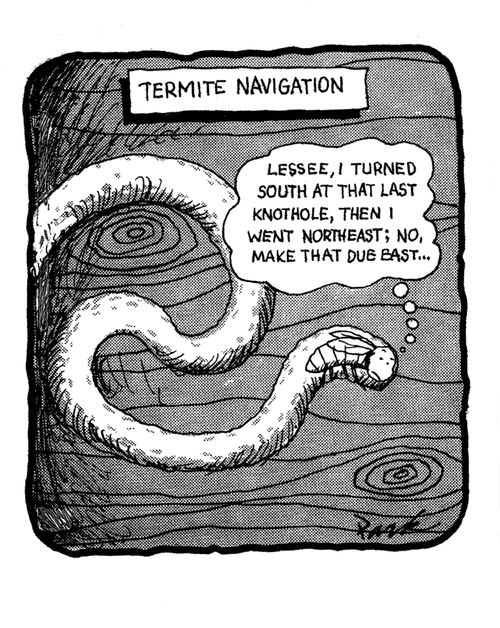 Termite Navigation.