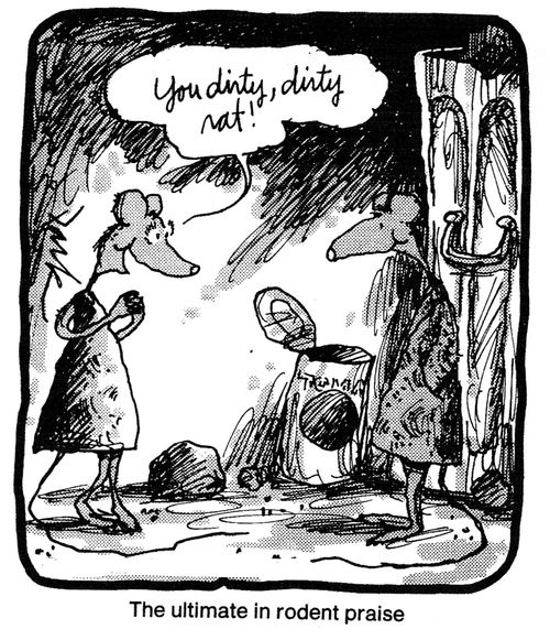 The Ultimate In Rodent Praise.
