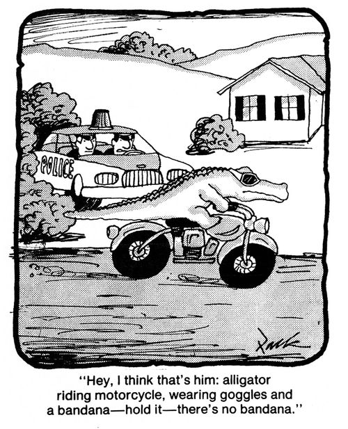 'Hey, I think that's him: alligator riding motorcycle, wearing goggles and a bandana - hold it - there's no bandana.'