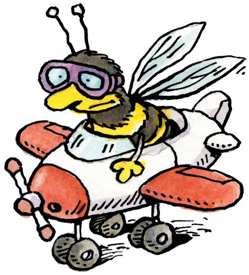 A bee in small airplane
