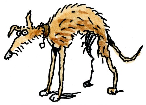 A Skinny Dog