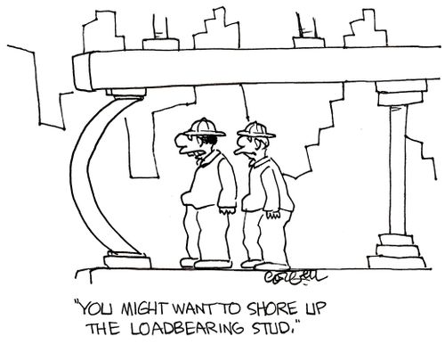 'You might want to shore up the loadbearing stud.'