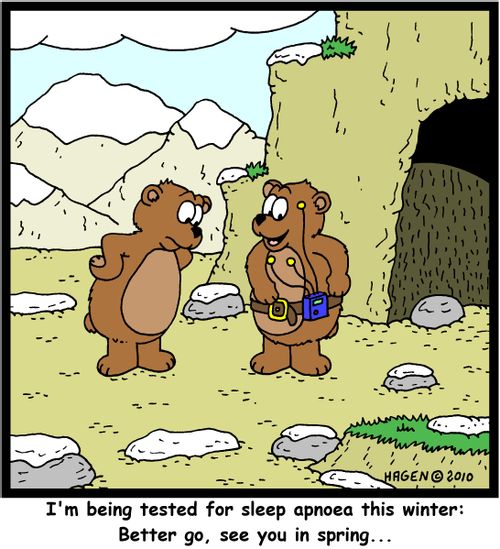 'I'm being tested for sleep apnoea this winter: Better go, see you in spring...'