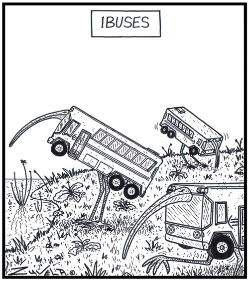Ibuses / Ibises in the form of Buses