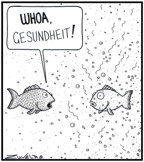 Fish: 'WHOA,Gesundheit!' / A Fish has sneezed out all of his scales
