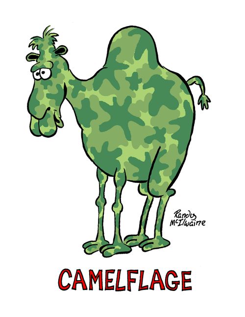 Camelflage.