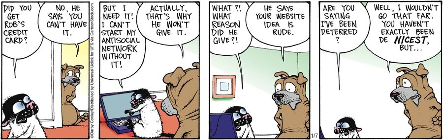 'Hey says your website idea is rude.'