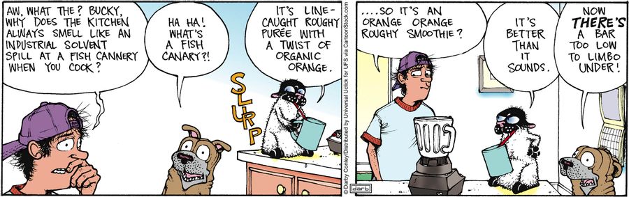 '...So it's an orange orange Roughy smoothie?'
