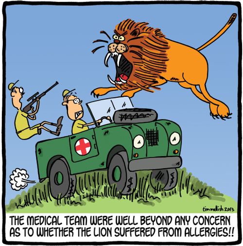 The medical team were well beyond any concern as to whether the lion suffered from allergies!!