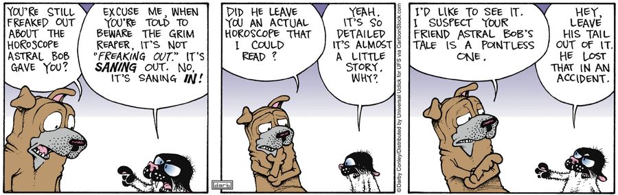 'Did he leave an actual horoscope that I could read?'