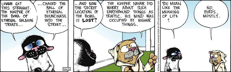 'No, birds, mostly.'