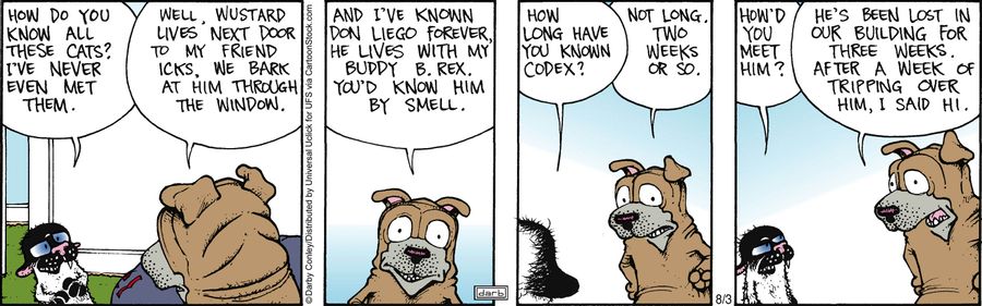 'How do you know all these cats? I've never even met them.'
