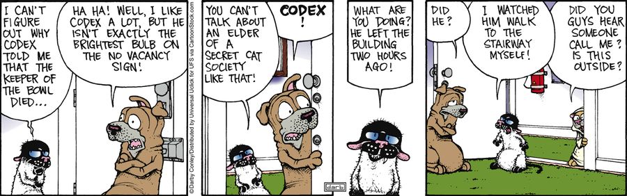 'I can't figure out why Codex told me the keeper of the bowl died...'