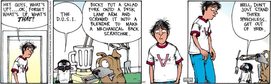 'Bucky put a salad fork onto a desk lamp arm and screwed it onto a blender to make a mechanical back scratcher.'