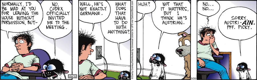 'Well, he's not exactly germane.'