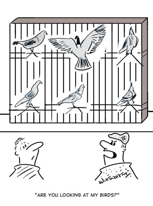 'Are you looking at my birds?'