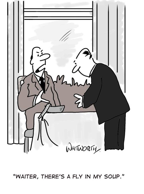 'Waiter, there's a fly in my soup.'