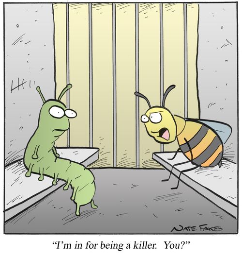 'I'm in for being a killer. You?'