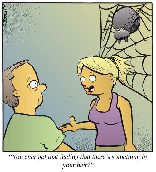 'You ever get that feeling that there's something in your hair?'