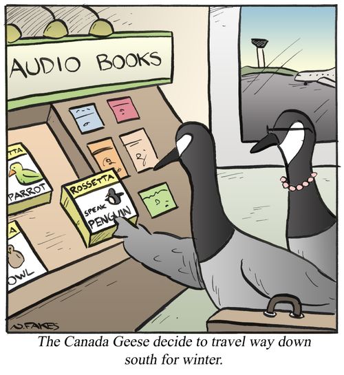 The Canada Geese decide to travel way down south for winter.