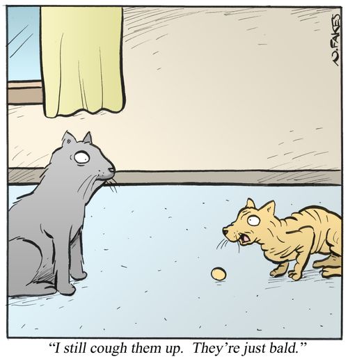 'I still cough them up. They're just bald.'
